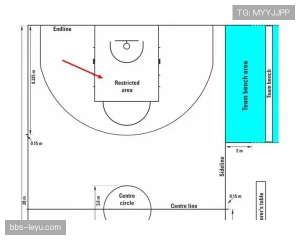 罚球规则NBA与FIBA区别全解析，一文读懂两大体系判罚细节